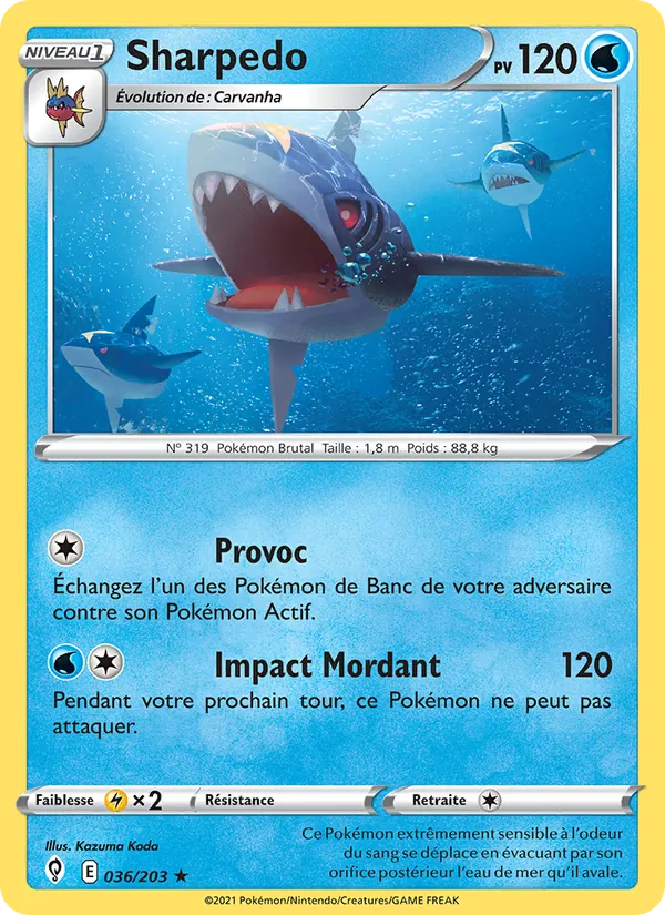 Sharpedo 36/203 — EB07 - Evolution Céleste — Carte Pokémon française