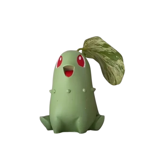 Pot de fleurs Endive Chikorita pour plante seule