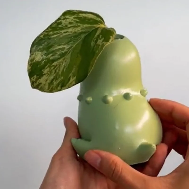 Pot de fleurs Endive Chikorita pour plante seule