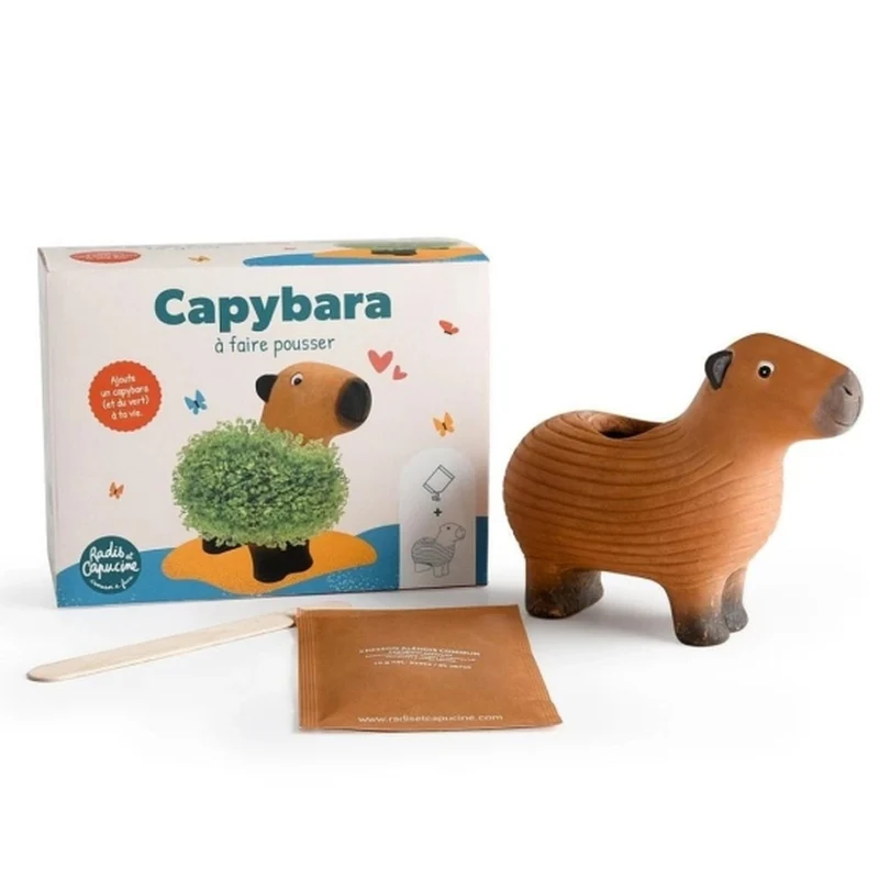 Capybara en terre cuite à faire pousser - graines de chia