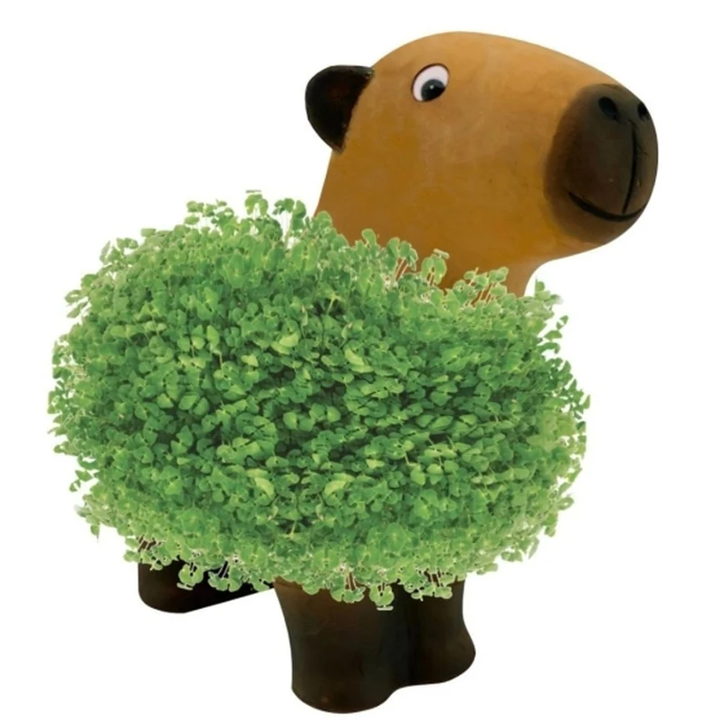 Capybara en terre cuite à faire pousser - graines de chia