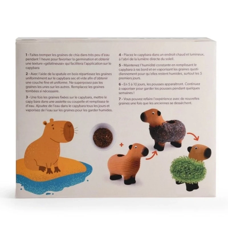 Capybara en terre cuite à faire pousser - graines de chia