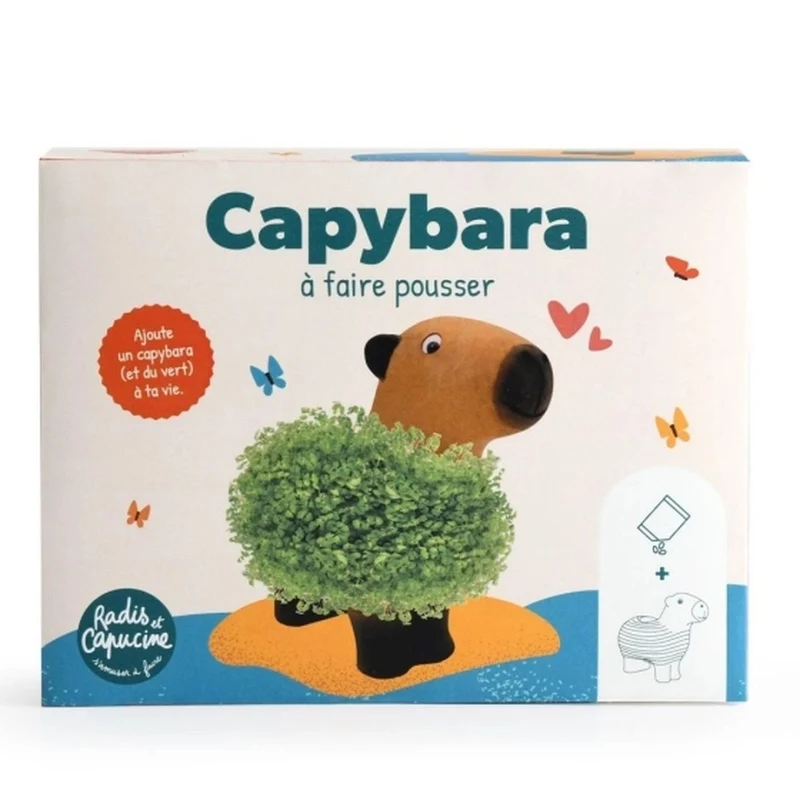 Capybara en terre cuite à faire pousser - graines de chia
