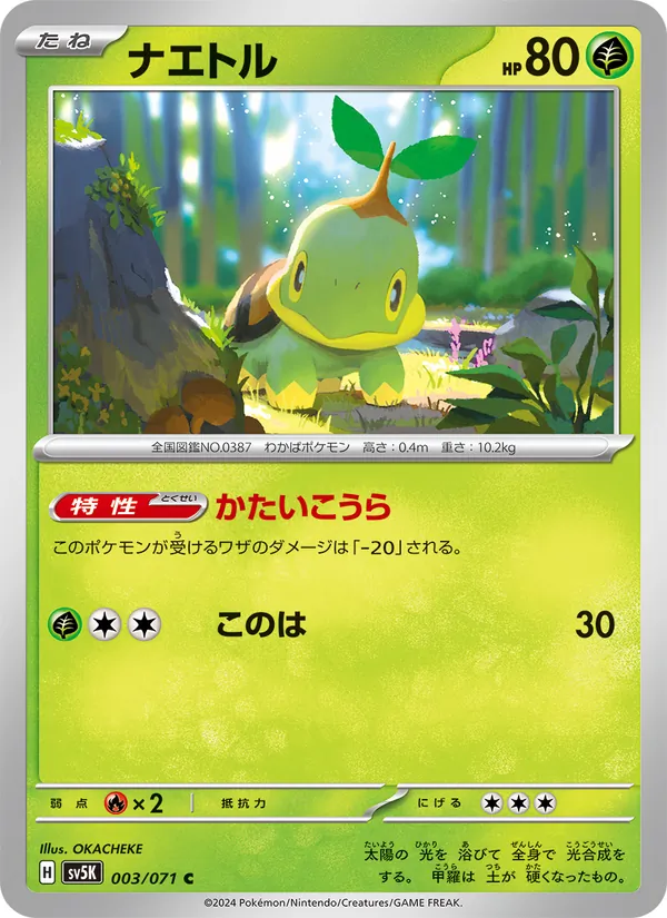 Tortipouss 3/71 — SV5K – Wild Force — Carte Pokémon japonaise