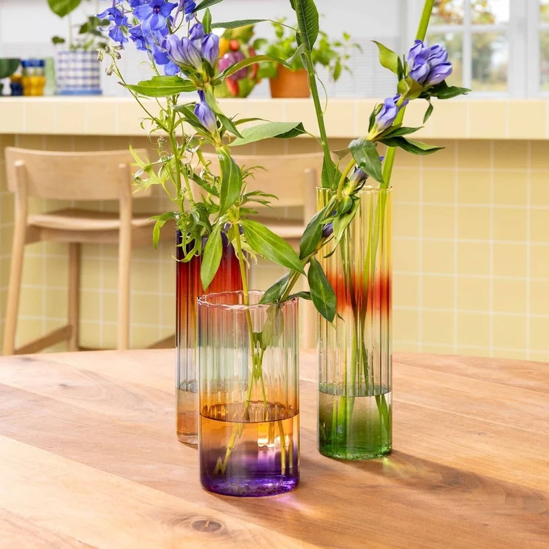 Vase transparent coloré en verre soufflé