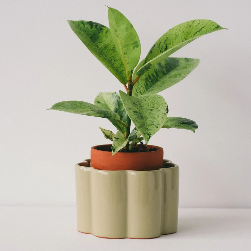 Pot à arrosage autonome