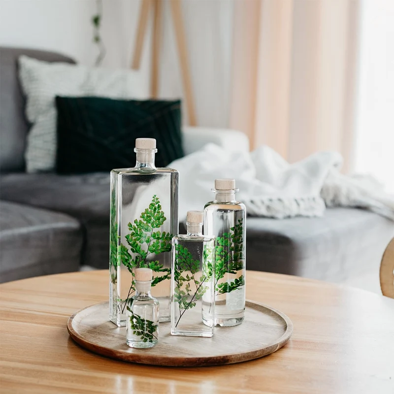Plantes immergées en bouteille