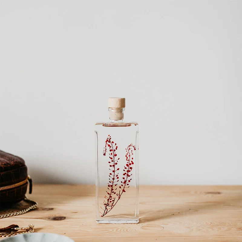 Plantes immergées en bouteille