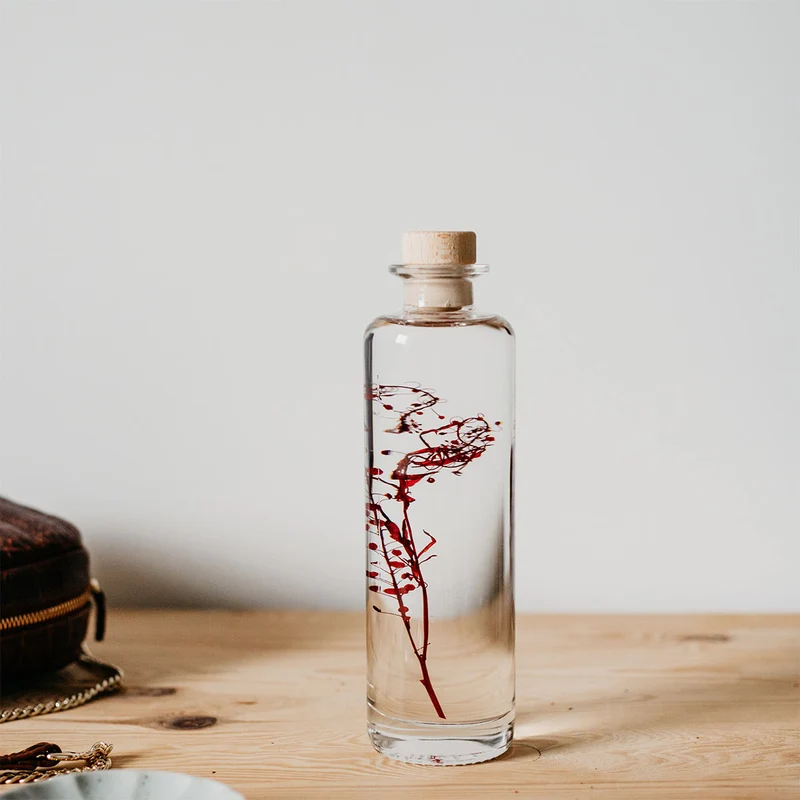 Plantes immergées en bouteille