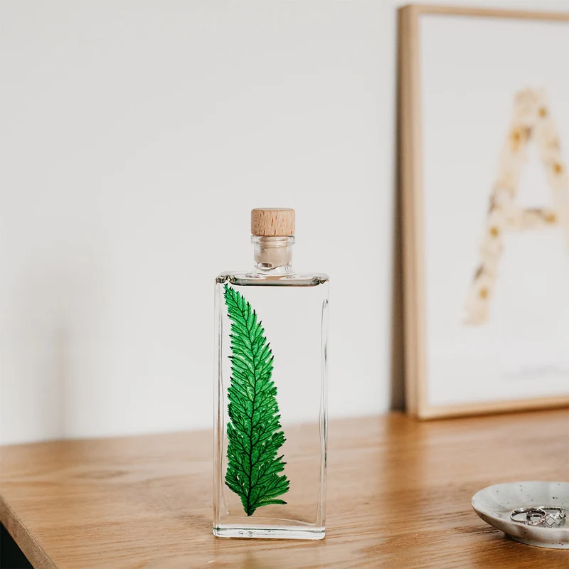 Plantes immergées en bouteille