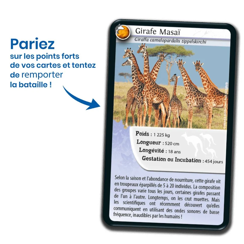 Jeu de cartes défis nature - animaux inséparables - fabriqué en france multicolore