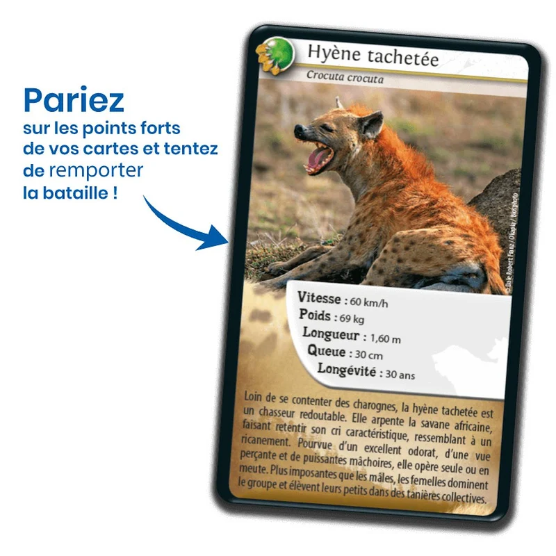 Jeu de cartes défis nature - carnivores - fabriqué en france multicolore