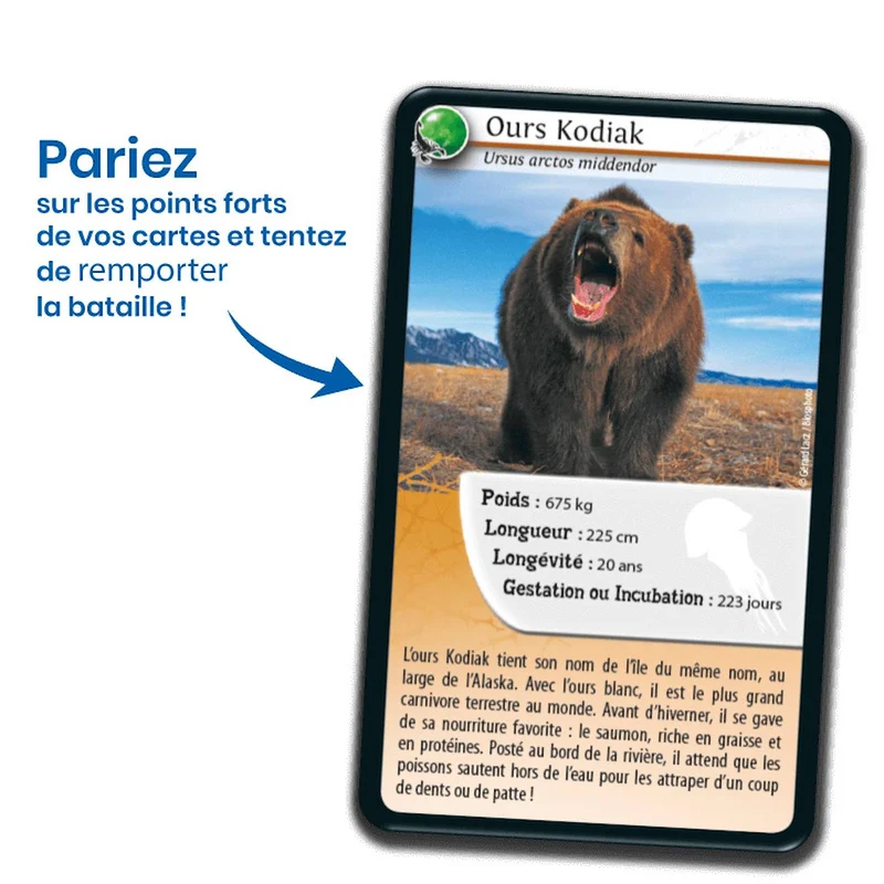 Jeu de cartes défis nature - animaux redoutables - fabriqué en france multicolore