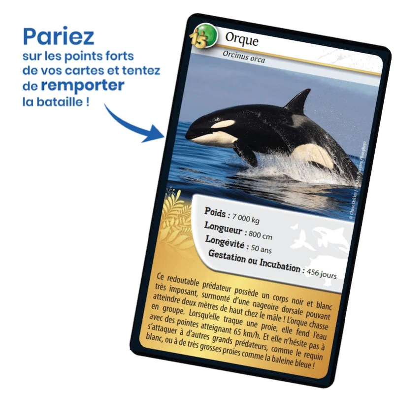 Jeu de cartes défis nature - 15ème anniversaire - fabriqué en france multicolore