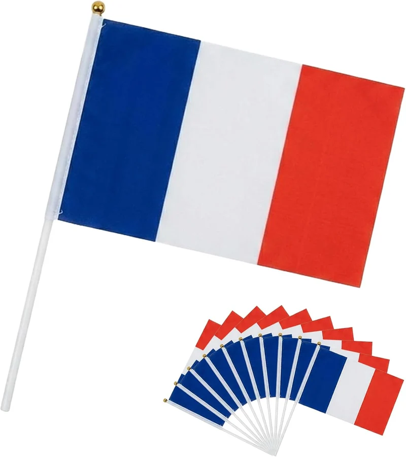 Lot de 10 drapeaux France à main 14x21 cm en polyester (AURALIN)