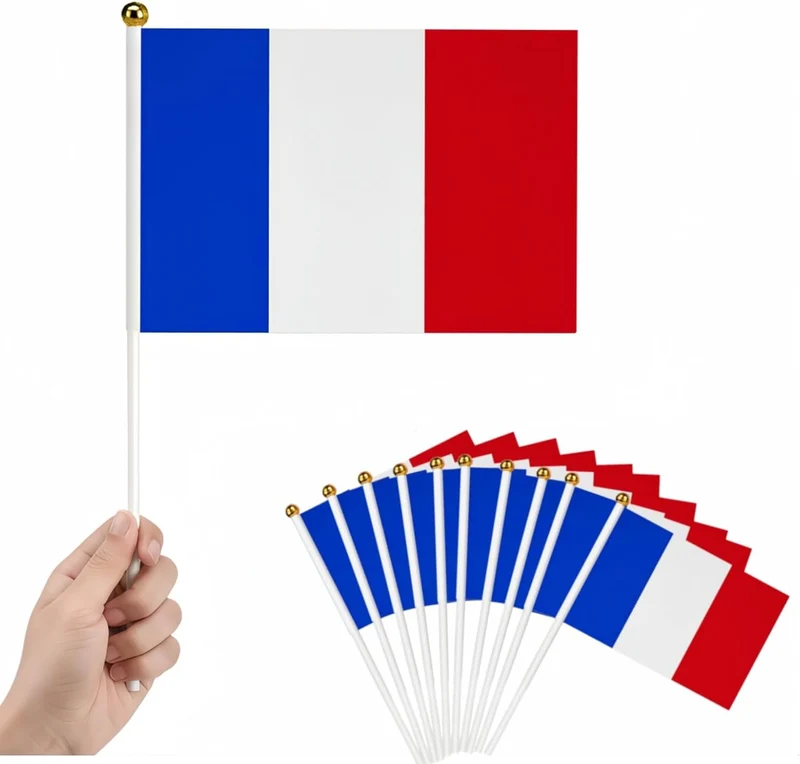 Lot de 10 petits drapeaux France à main avec tige (LERKNVOE)