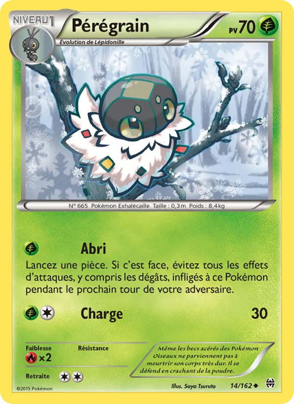 Pérégrain 14/162 — XY8 – Impulsion Turbo — Carte Pokémon française