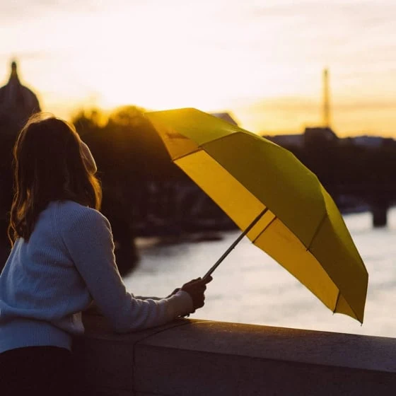 Micro-Parapluie Anatole