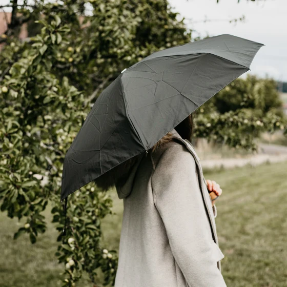 Micro-Parapluie Anatole