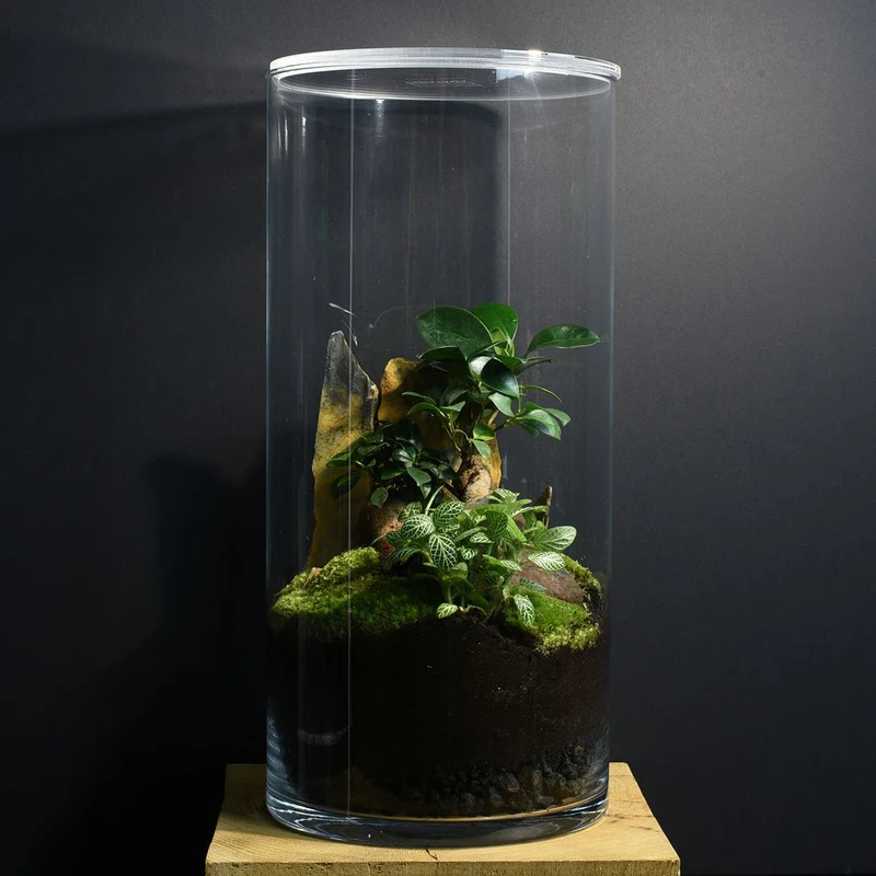 Terrarium DIY Yamayama