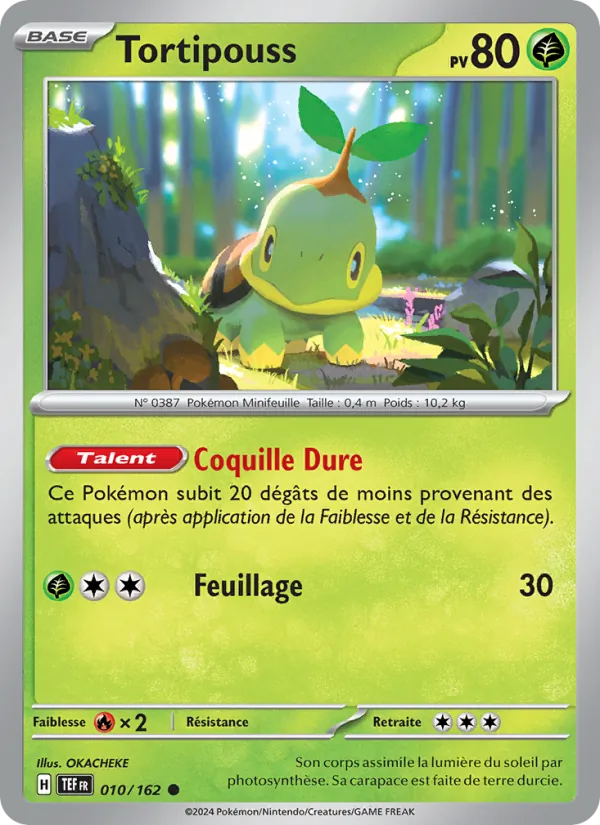Tortipouss 10/162 — EV05 – Forces Temporelles — Carte Pokémon française